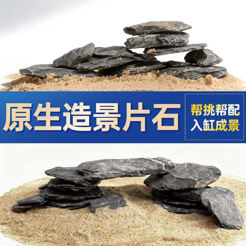 鱼缸造景石头青龙石原生溪流片石黑金石松皮石乌龟南美缸草缸装饰,宠物/宠物食品及用品,造景/装饰,淘宝优惠券,粉丝福利购,淘宝优惠卷