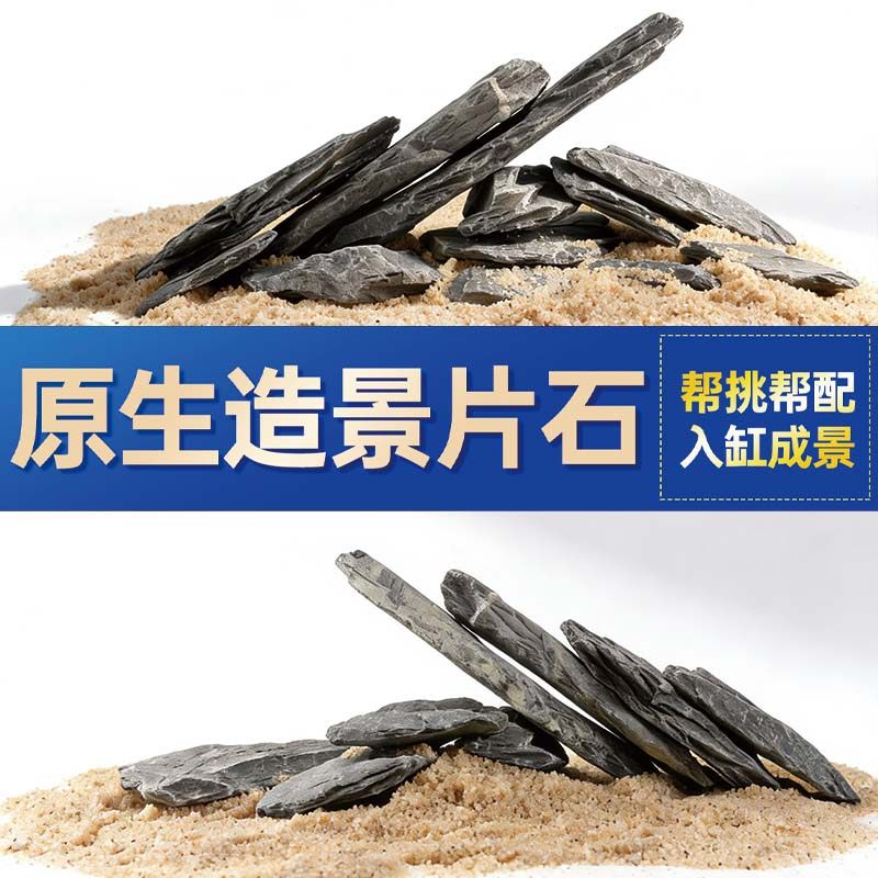 鱼缸造景石头青龙石原生溪流片石黑金石松皮石乌龟南美缸草缸装饰,宠物/宠物食品及用品,造景/装饰,淘宝优惠券,粉丝福利购,淘宝优惠卷