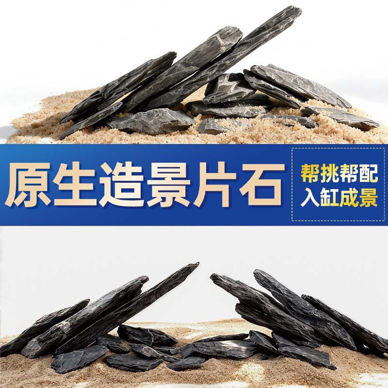 鱼缸造景石头青龙石原生溪流片石黑金石松皮石乌龟南美缸草缸装饰,宠物/宠物食品及用品,造景/装饰,淘宝优惠券,粉丝福利购,淘宝优惠卷