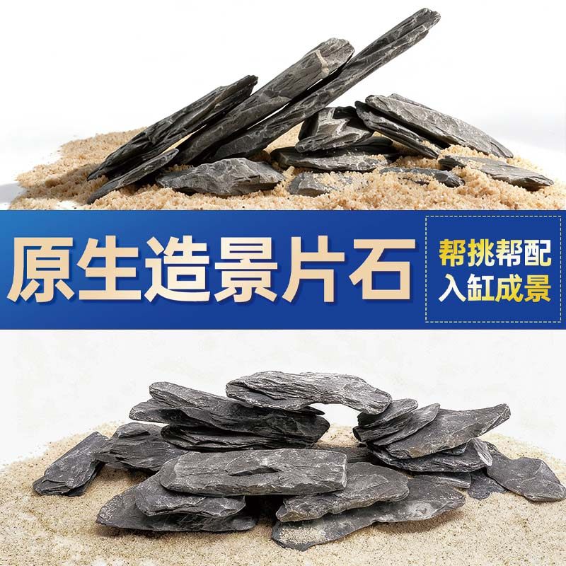 鱼缸造景石头青龙石原生溪流片石黑金石松皮石乌龟南美缸草缸装饰,宠物/宠物食品及用品,造景/装饰,淘宝优惠券,粉丝福利购,淘宝优惠卷