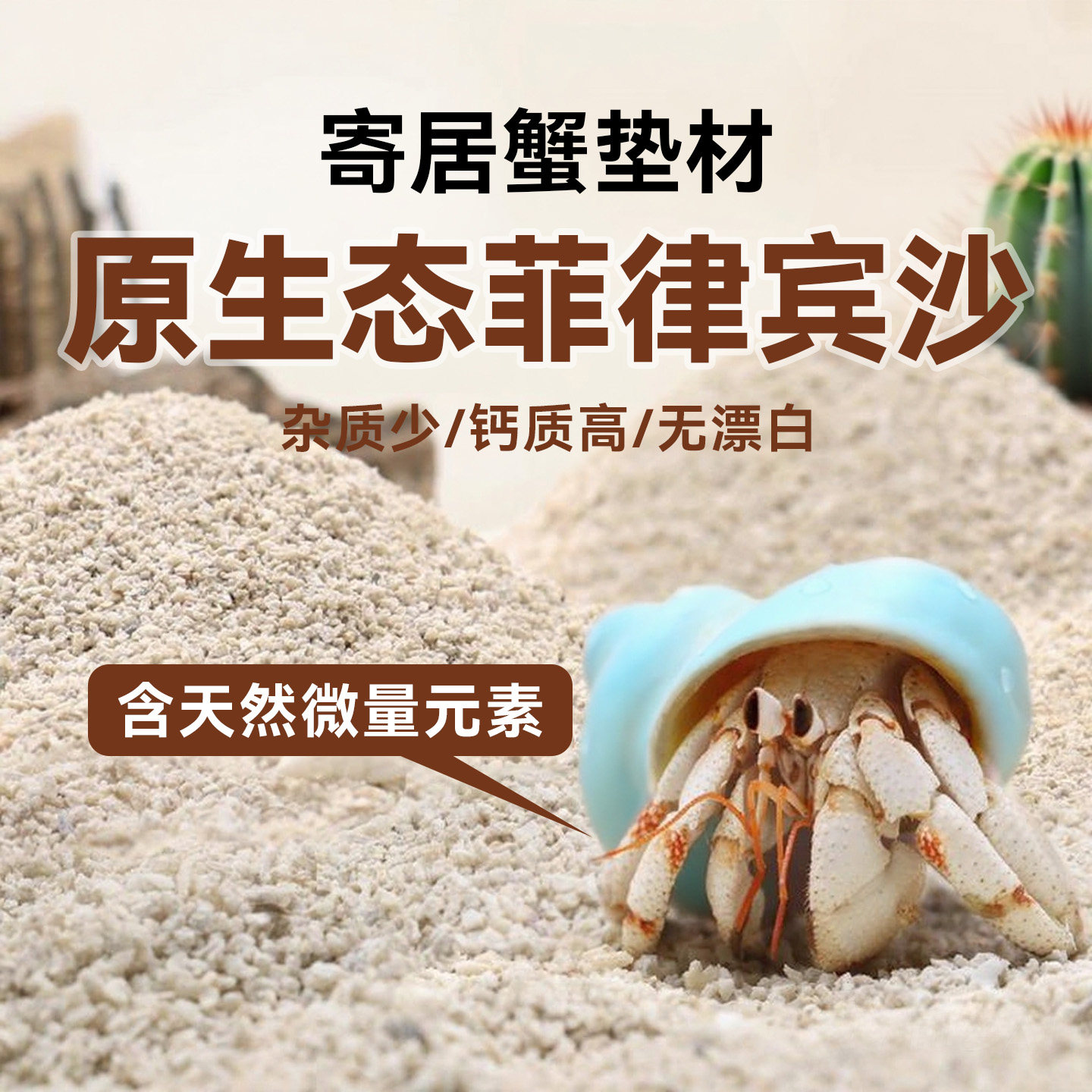 寄居蟹专用沙新菲律宾沙垫材鱼缸造景沙子白细贝壳沙天然饲养底砂