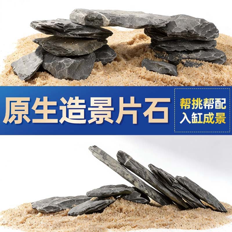 鱼缸造景石头青龙石原生溪流片石黑金石松皮石乌龟南美缸草缸装饰,宠物/宠物食品及用品,造景/装饰,淘宝优惠券,粉丝福利购,淘宝优惠卷