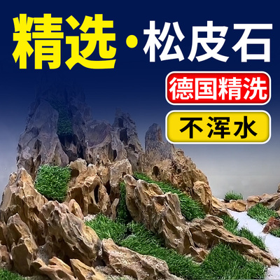 海洛伊精选多孔精洗松皮石