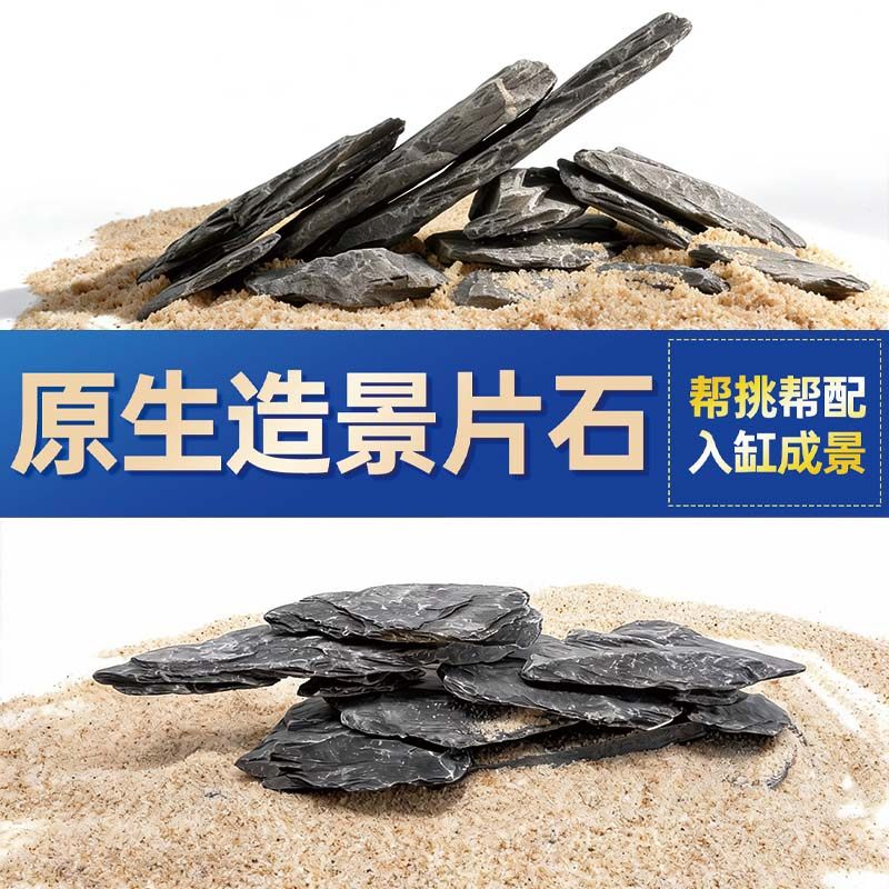 鱼缸造景石头青龙石原生溪流片石黑金石松皮石乌龟南美缸草缸装饰,宠物/宠物食品及用品,造景/装饰,淘宝优惠券,粉丝福利购,淘宝优惠卷