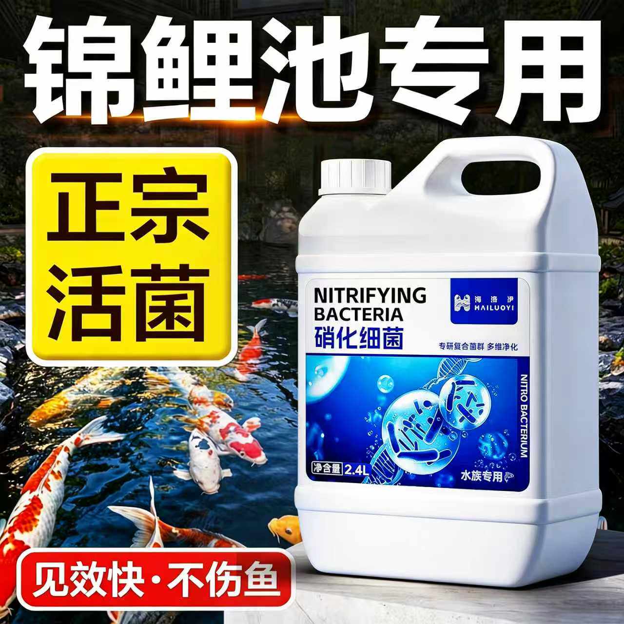 锦鲤鱼池用消化硝化细菌液分解鱼便净化水质稳定剂养鱼缸用净水剂