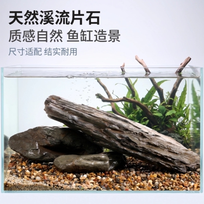 海洛伊原生溪流片石乌龟晒台