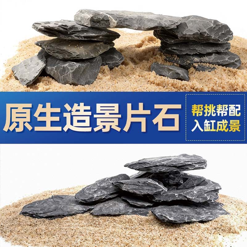 鱼缸造景石头青龙石原生溪流片石黑金石松皮石乌龟南美缸草缸装饰,宠物/宠物食品及用品,造景/装饰,淘宝优惠券,粉丝福利购,淘宝优惠卷