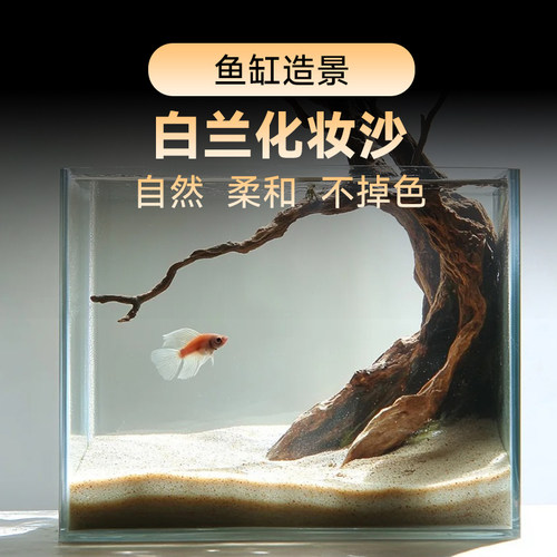 海洛伊白兰化妆砂造景协会理事