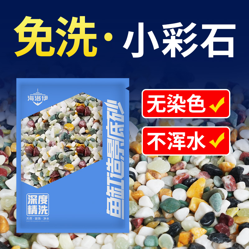 海洛伊天然小彩石造景协会理事