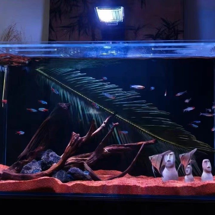 天然铁树叶沉叶鱼缸造景南美缸原生缸装饰树叶网红沉叶黄色树叶,宠物/宠物食品及用品,造景/装饰,淘宝优惠券,粉丝福利购,淘宝优惠卷