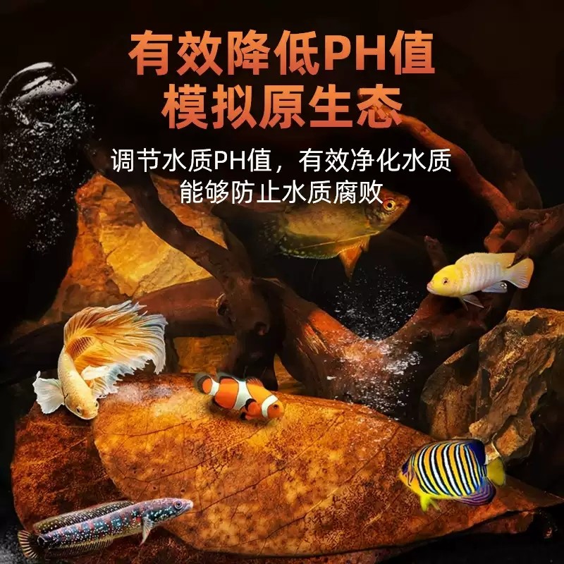 鱼缸天然榄仁叶人工精挑小片叶斗鱼缸龟缸降酸调节ph值免洗懒人叶,宠物/宠物食品及用品,PH调节剂,淘宝优惠券,粉丝福利购,淘宝优惠卷