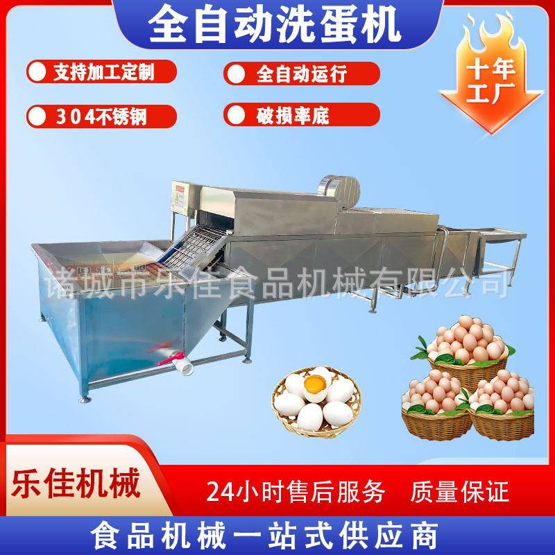 保洁蛋去泥洗蛋机包灰蛋皮蛋清洗设备无菌蛋杀菌洗蛋机