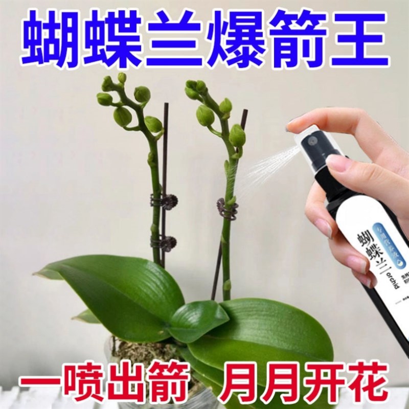 速发蝴蝶兰兰兰花营养液文心肥君子开促兰花拯救黄叶烂根免稀释