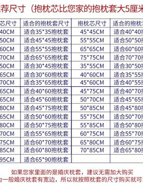 速发V2WS抱枕芯靠垫芯内胆芯45 50 56 60 55 70沙发靠枕方垫腰枕