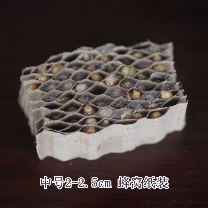 速发葡萄蜜垂玉米虫虫子营爬鸟食养宠食物鸟食鸟料虫钓钓饵活虫