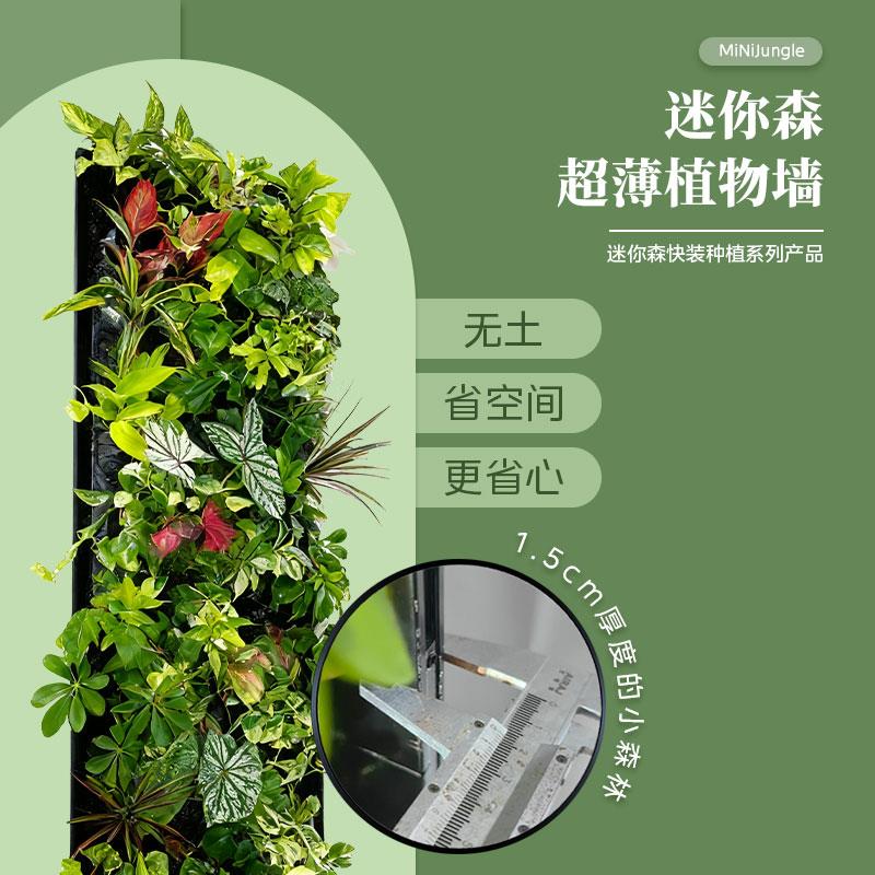 迷你森·真植物墙安装施工极简绿植背景墙屏风花架立体种菜种植架