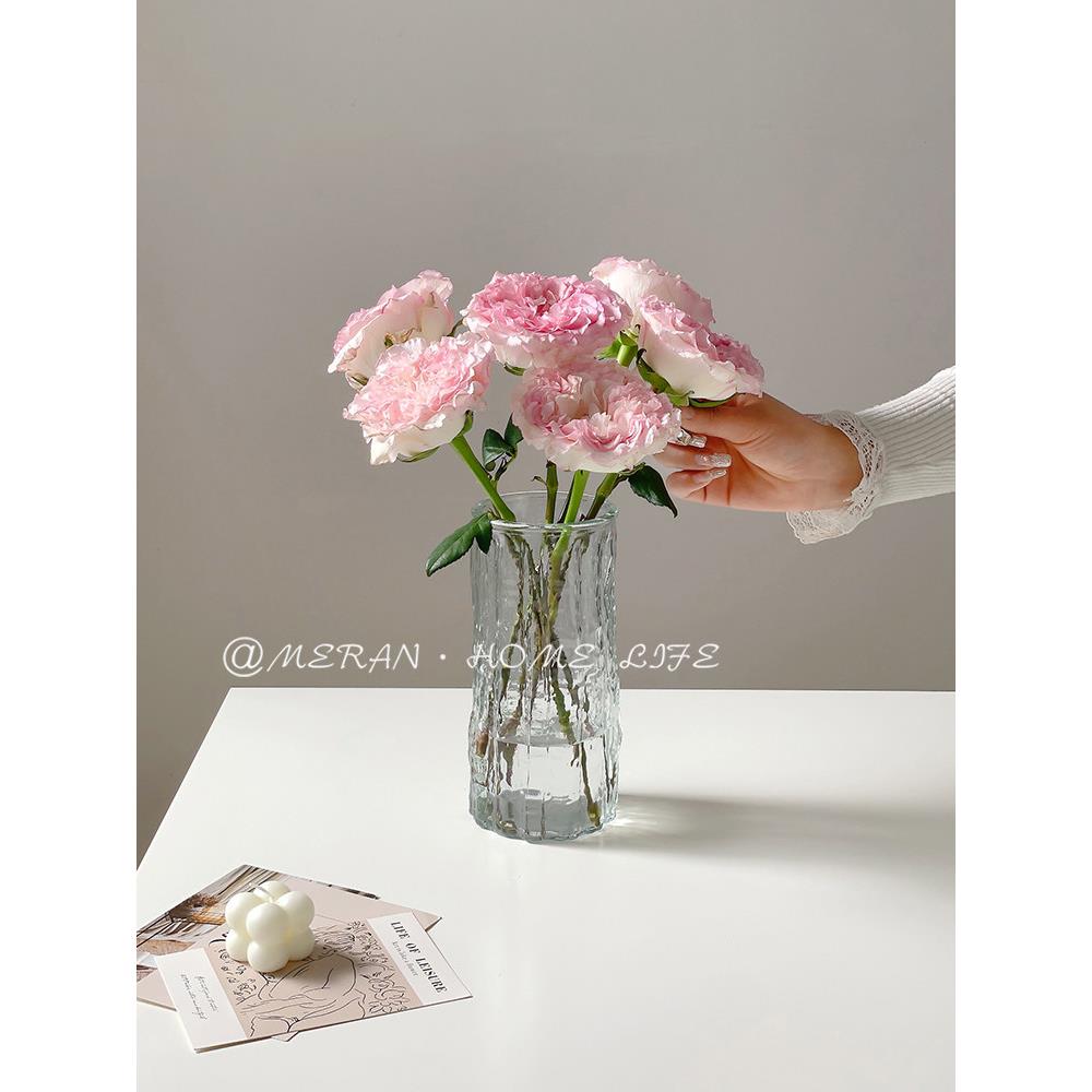 网红高级感ins风冰川花瓶玻璃透明创意水培鲜花客厅插花装饰摆件