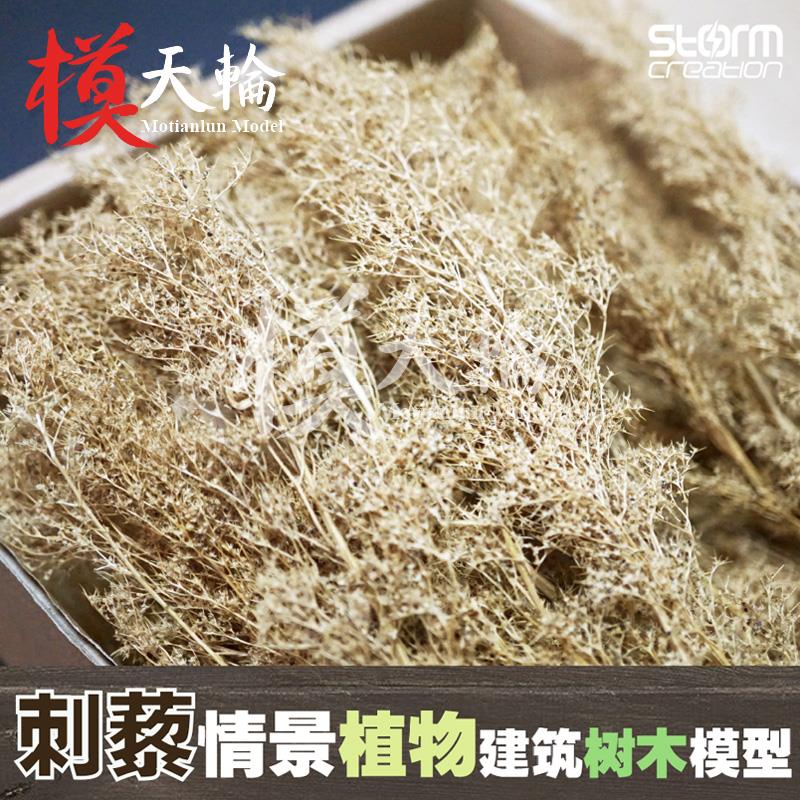 刺藜 一件包郵荷兰干燥花模型树木铁道火车 兵人地台建筑沙盘情景