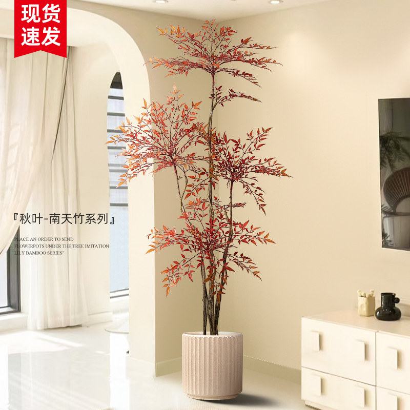 快速发货红色千年铁仿真绿植大型落地盆栽室内客厅U高端轻奢装饰,家居饰品,落地摆件,淘宝优惠券,粉丝福利购,淘宝优惠卷