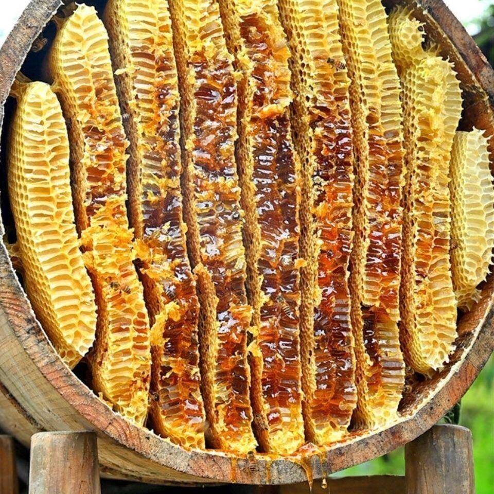 圆桶杉木养蜂蜜蜂蜂箱箱箱养蜂箱诱蜂桶碳化老式中蜂土蜂箱横