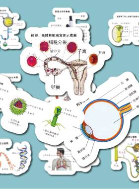 陶创创中考生物抢分秘籍贴纸