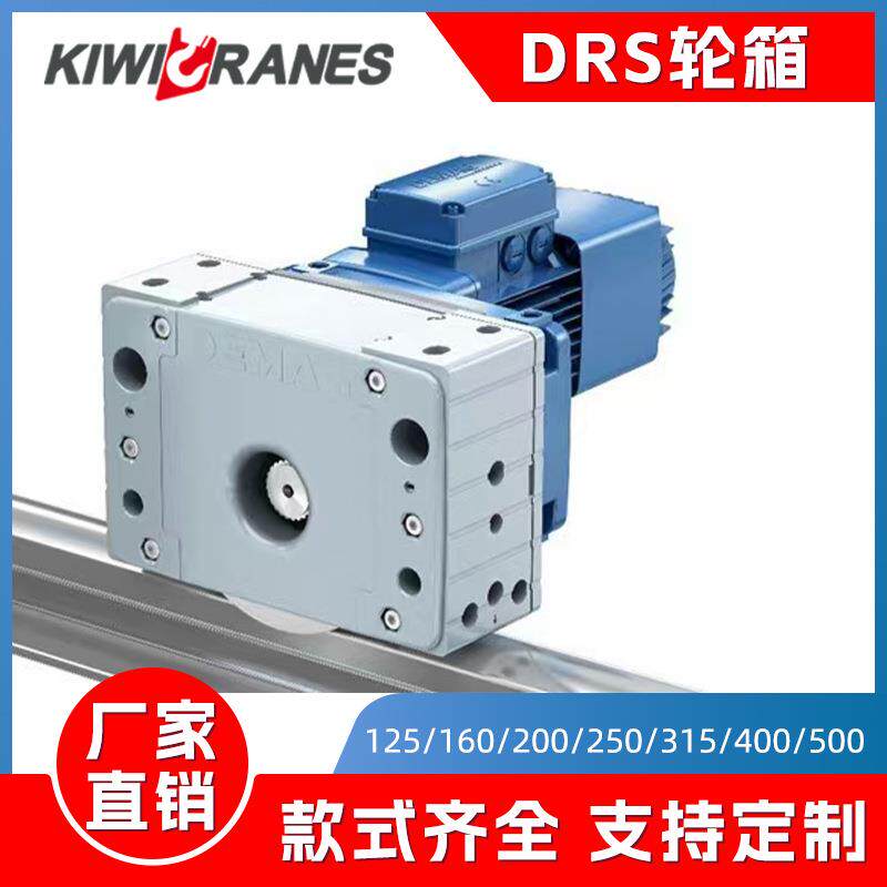 德马格轮箱DRS轮箱行走车轮组RGV小车行走轮堆垛机行走轮125/200