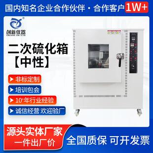 二次硫化箱实验室电热风循环烘干设备工业塑料颗粒恒温干燥烘箱