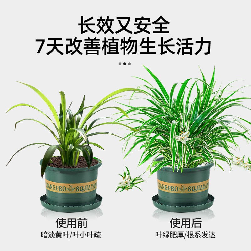 吊兰专用缓释肥控释颗粒家用金边养花肥料家庭园艺盆栽植物通用型