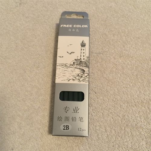 自由色HB2B4B6B8B10B学生成人美术生练习专业绘画12支素描铅笔