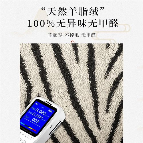 家用地毯客厅2024新款轻奢高级感地垫入户门垫大门口垫子玄关脚垫