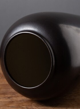 景德镇高温陶瓷光滑面黑色水培花瓶插花家居摆件干花陶罐