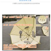 育雏伞育雏器小鸡脱温设备孵化机全自动控温伞保温伞保温箱保温灯