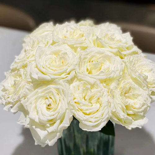 精选千山暮雪坦尼克白玫瑰鲜花送老师同学家居装饰花瓶插花