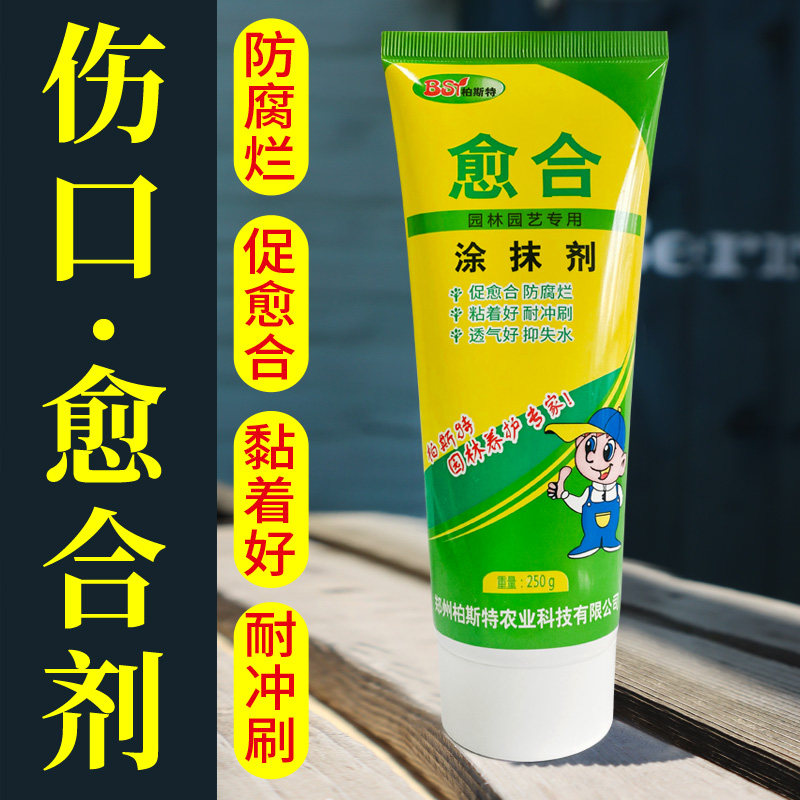 速发伤口愈合剂月树木季兰花果树植物花卉修剪嫁接封口胶涂抹剂愈