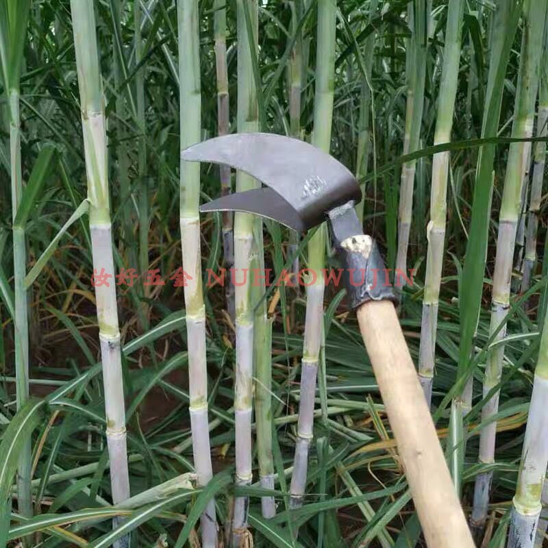 速发农用甘蔗剥叶叶刀修整甘蔗叶专用手动蔗镰器省力方便修甘剥叶