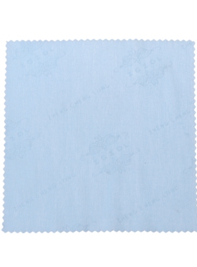 Professional 24 Hole Harmonica Mouth Metal Organ for Beginne