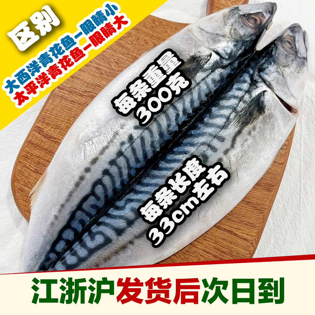 生鲜大叔青花鱼整条300克