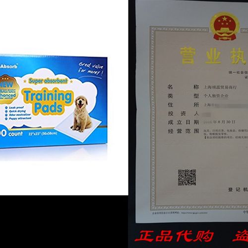 All-Absorb Training Pads 22-inch By 23-inch.