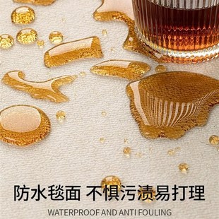 j2024新款 地毯客厅卧室冬季 秋冬法风家用沙发免打理床边毯茶几地
