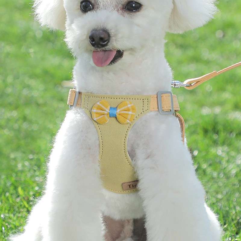 狗狗牵引绳小型犬狗绳子遛狗绳背心式泰迪柯基宠物胸背带