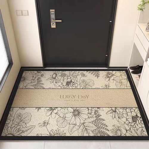SH HOME 丝圈地垫门口入户门进门脚垫地垫地毯门口玄关家用地垫