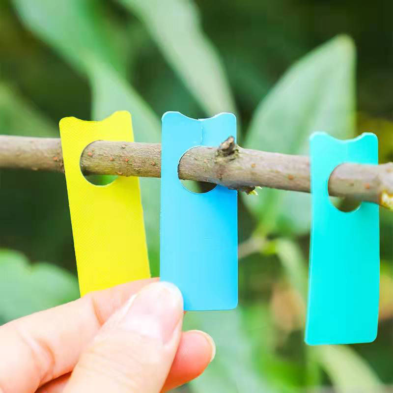 葡萄记号牌西瓜授粉记号牌葡萄标记卡西瓜标记牌瓜果标记吊牌