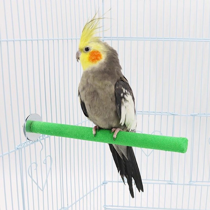 鹦鹉磨砂棍磨爪棒磨砂棒虎皮玄凤栖息木站棍鸟笼配件用品玩具大全,宠物/宠物食品及用品,鸟禽其他,淘宝优惠券,粉丝福利购,淘宝优惠卷