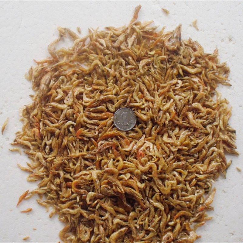 新品 面包虫干鱼料饲料 血鹦鹉鱼粮银龙鱼罗汉热带鱼淡水鱼食虾干,宠物/宠物食品及用品,观赏鱼饲料,淘宝优惠券,粉丝福利购,淘宝优惠卷