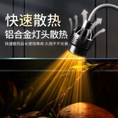 鱼缸灯南美缸射灯造景专用小型水草超亮可调光调焦雷龙照明缸射灯