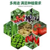 美种植袋特大楼顶种菜防腐木种植花箱阳台无纺布加厚蔬果透气 包邮