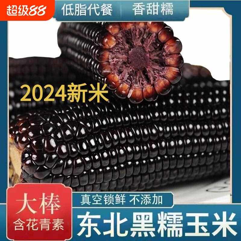 新鲜东北黑玉米真空包装0添加富含花青素香甜软糯粗粮健康8棒