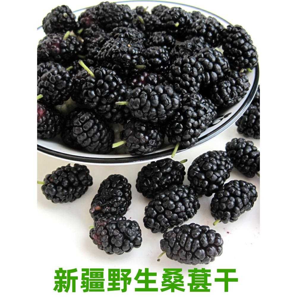 新疆包邮新货野生桑葚干新疆黑桑椹干果食用泡水大果无沙500克原