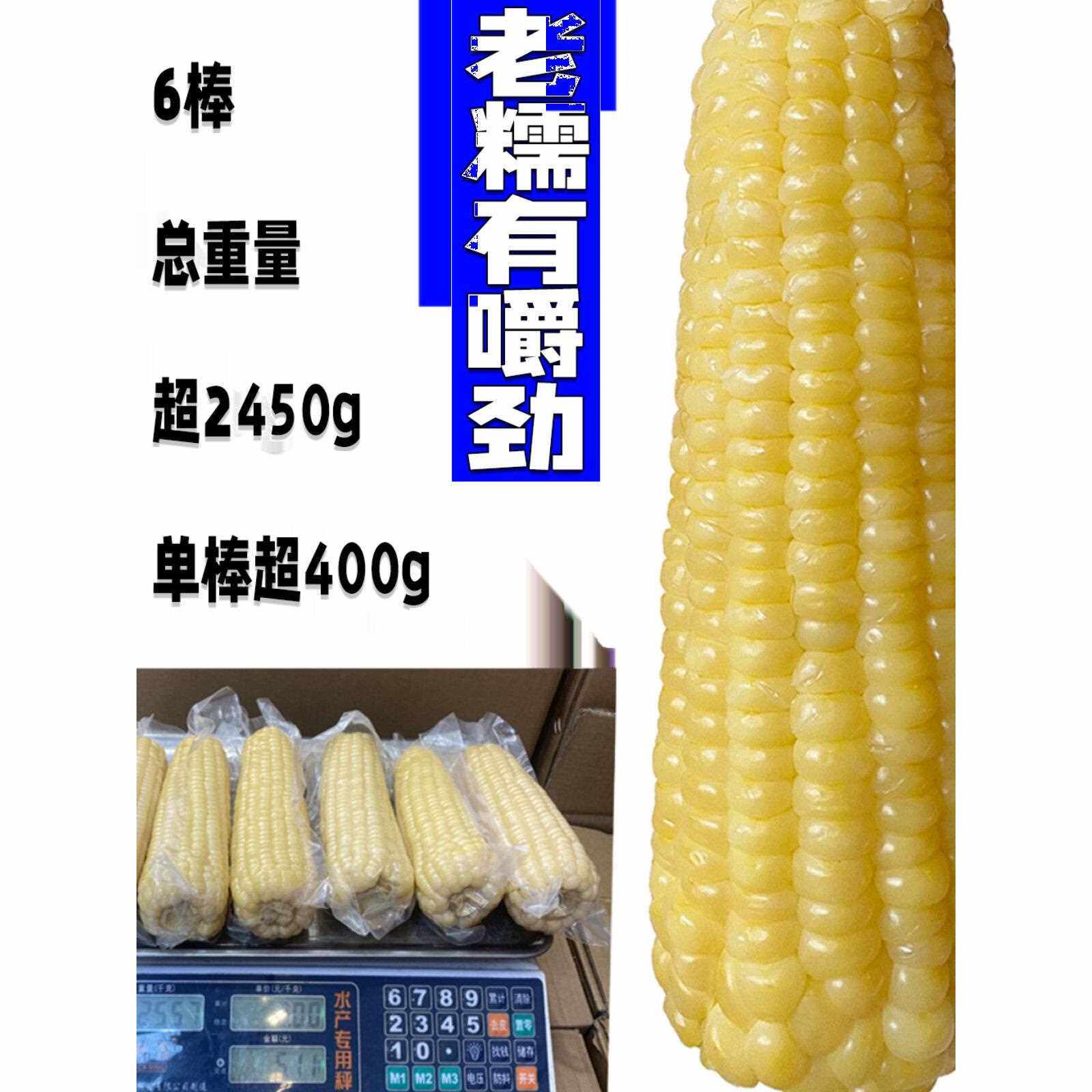 sa姆同款东北新鲜糯玉米棒熟白糯真空保鲜老玉米甜粘大棒6-7棒5斤