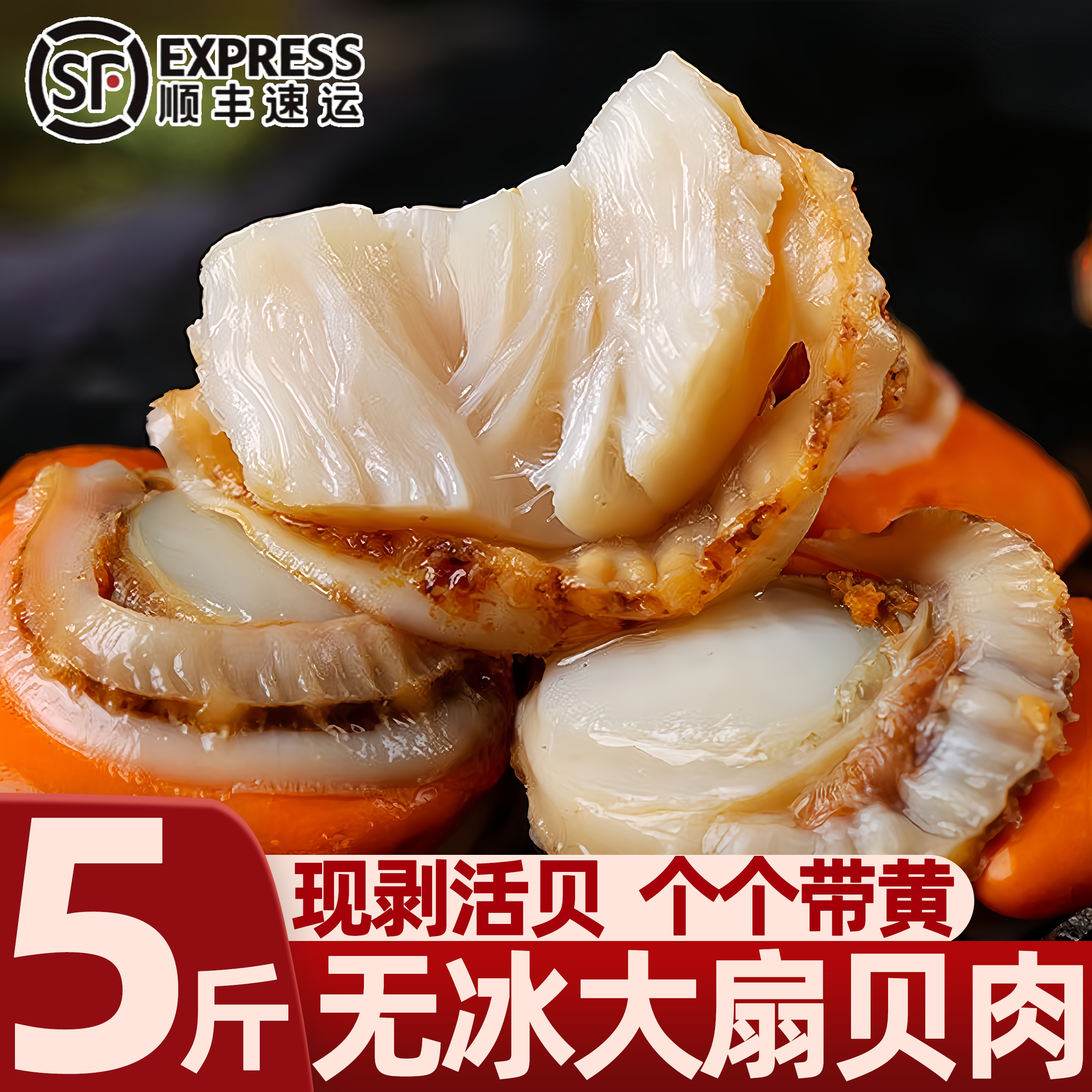 威海鲜扇贝黄超大冷冻批发